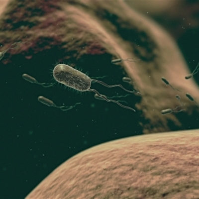 Timeline: A mikrobiológia aranykora