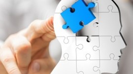 Timeline: Gestión del Conocimiento