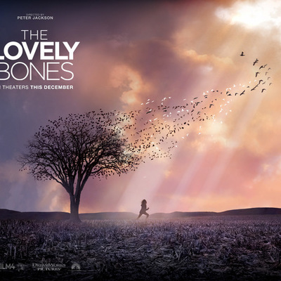 Timeline: The Lovely Bones