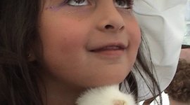 Timeline: Karen´s life