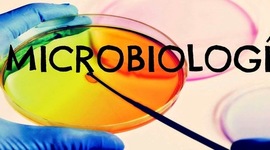 Timeline: Microbiología,los 30 acontecimientos más importantes.