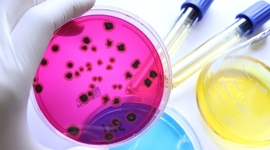 Timeline: Microbiologia