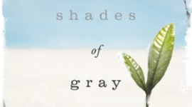 Timeline: Between Shades of Grey Book Report