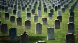 Timeline: 6.3 "Impacted by Death"