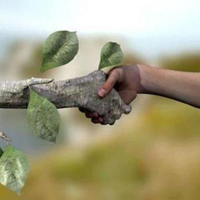 Timeline: Hitos Ambientales (Camila Mora)