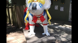 Timeline: The history of anime >~<