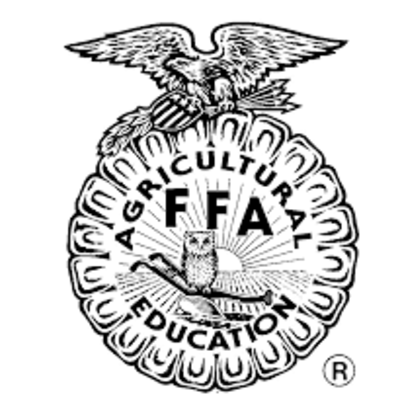 Timeline: Megan's Karneval in Köln