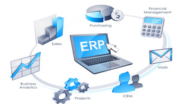 Timeline: Evolución del ERP