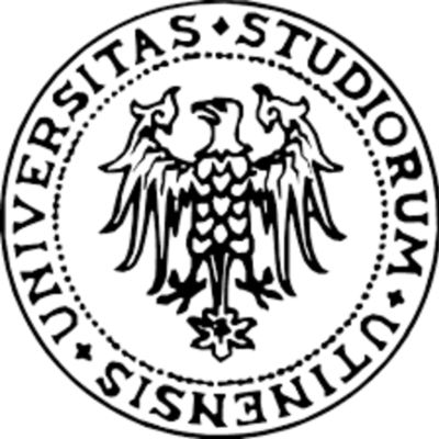 Timeline: Percorso di studi magistrale Uniud