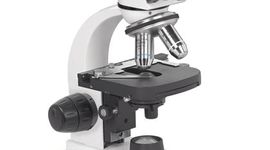 Timeline: Invención del microscopio y descubrimiento de los  microorganismos