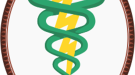 Timeline: Historia de la fisioterapia en colombia