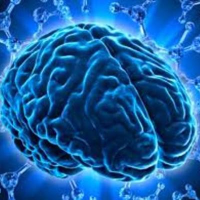 Timeline: historia de la neuropsicologia