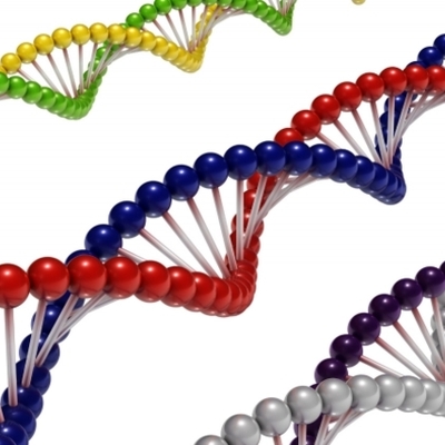 Timeline: Ácidos Nucleicos - Científicos