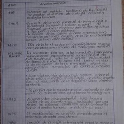 Timeline: LINEA HISTORICA   AMBIENTAL