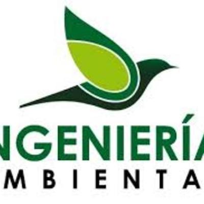 Timeline: ING.AMBIENTAL