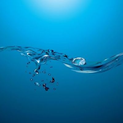 Timeline: De dónde venimos y a dónde vamos? La evolución del sistema nervioso