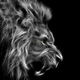 Grey lion wallpaper by ghostkyller d90flch