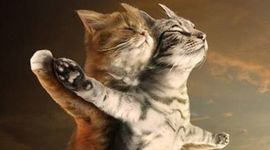 Timeline: Итоги