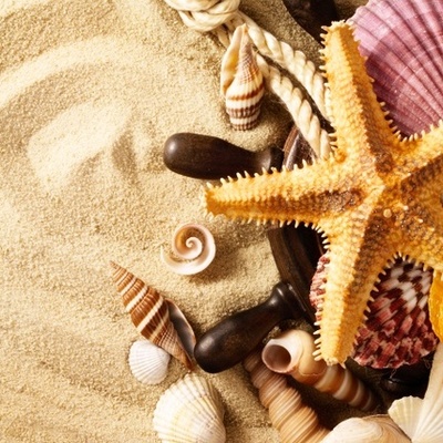 Timeline: Mari elu telg