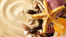 Timeline: Mari elu telg