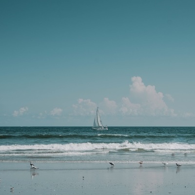 Timeline: 教會活動預告