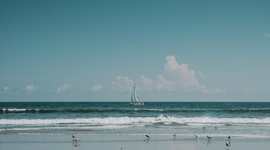 Timeline: 教會活動預告