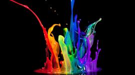 Timeline: Bea's timeline