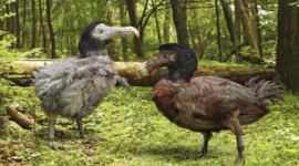 Timeline: Nationalismens Fremgang