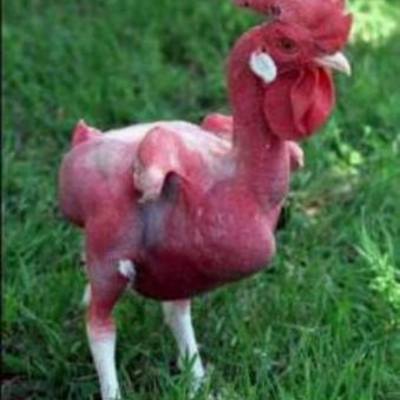 Timeline: Full Police Statements on Valerie Hamilton's Death- Jacob Burgess