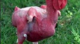 Timeline: Full Police Statements on Valerie Hamilton's Death- Jacob Burgess