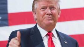 Timeline: Språkdebatt