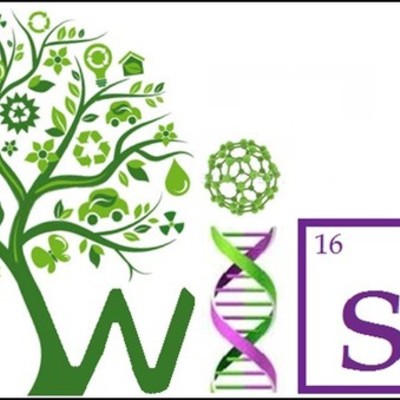 Timeline: Donne Scienziate