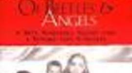 Timeline: Of Beetles & Angels