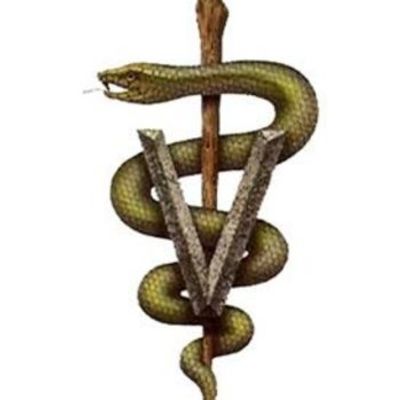 Timeline: Historia de la veterinaria