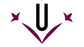 Timeline: EDUCACIÓ PRIMÀRIA - DUAL