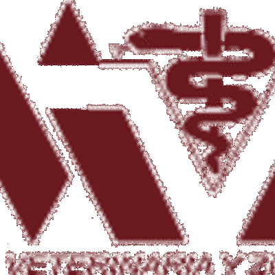 Timeline: historia de la medicina veterinaria