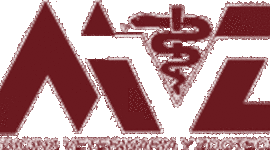 Timeline: historia de la medicina veterinaria