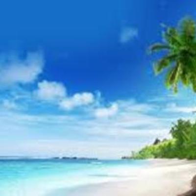 Timeline: Zuhaeley Aguilar