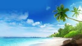 Timeline: Zuhaeley Aguilar