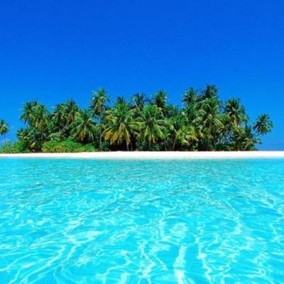 Timeline: Julianna DiCicco