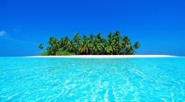 Timeline: Julianna DiCicco