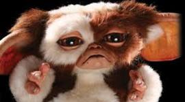 Timeline: Unit 5 Timeline