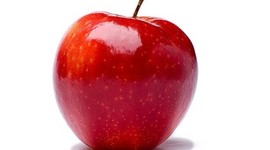 Timeline: History of Education