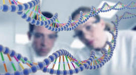 Timeline: Principales descubrimientos de DNA