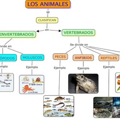 Timeline: EVOLUCIÓN DE INTERNET
