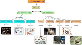 Timeline: EVOLUCIÓN DE INTERNET