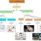 Animales (1)