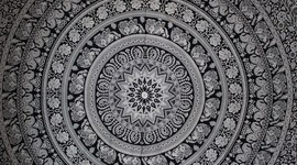 Timeline: Historia de la comunicación