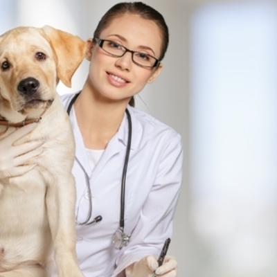 Timeline: Historia de la Veterinaria