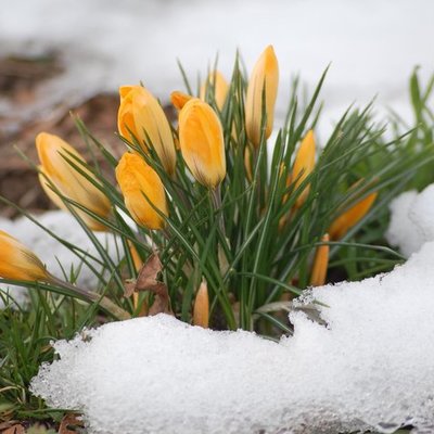 Timeline: истори